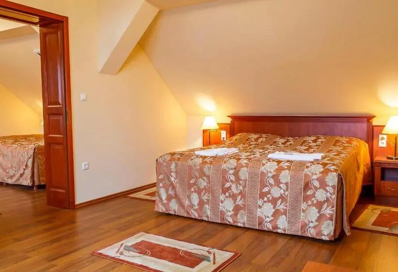 Perhesviitti 2 Makuuhuonetta, Pannon Hotel Bejelentkezés 20 óráig, Check In Until 20 O Clock, Einchecken Bis 20 Uhr