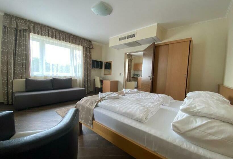 家庭套房, Sástó