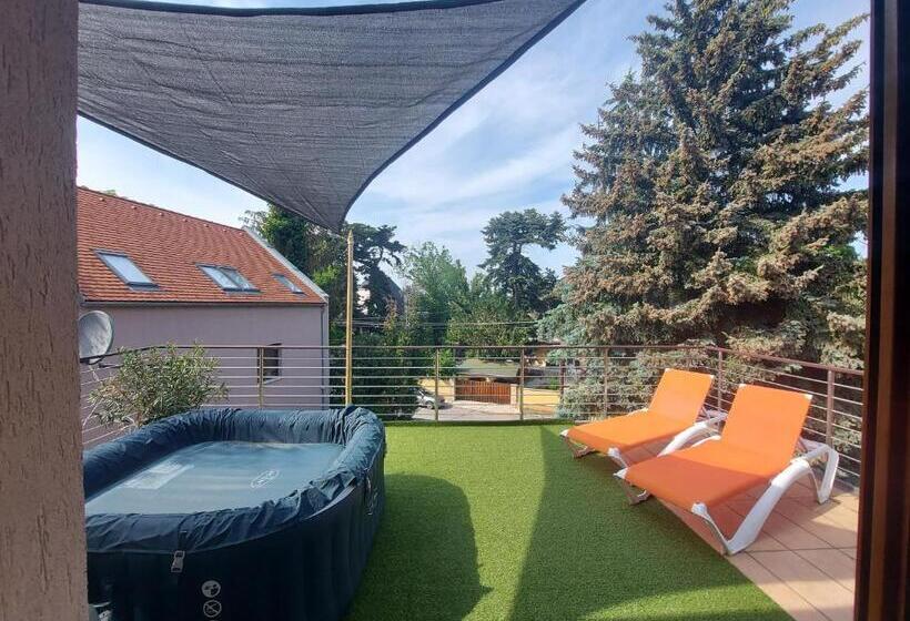 شقة ديلوكس غرفة واحدة, Villa Pax