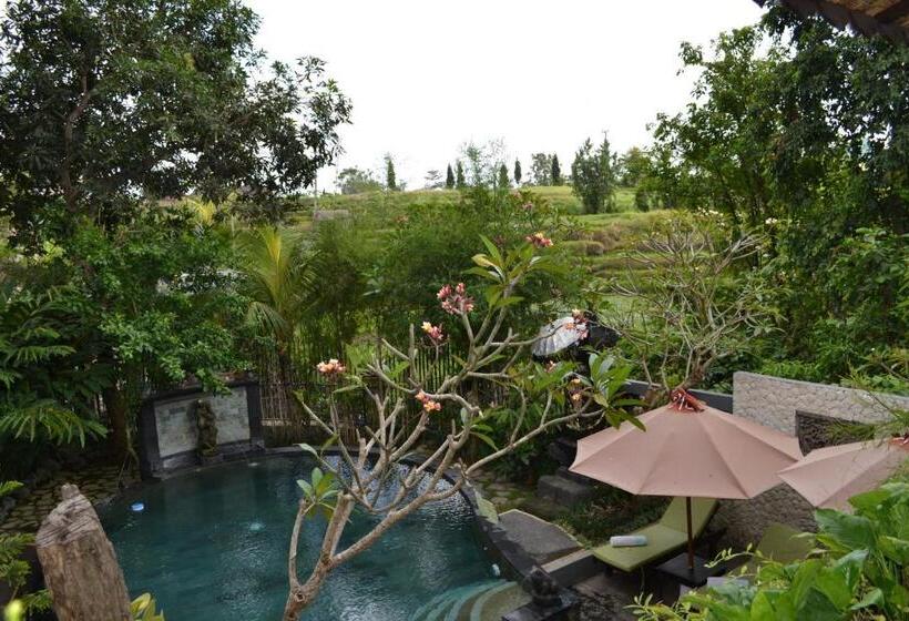 חדר דלוקס עם מרפסת, Kts Balinese Villas