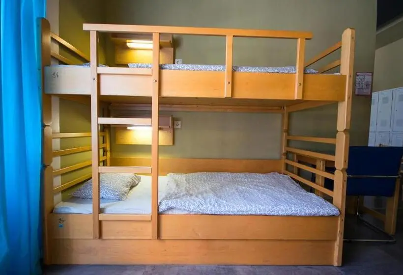 Geteiltes Mehrbettzimmer, Treestyle Hostel