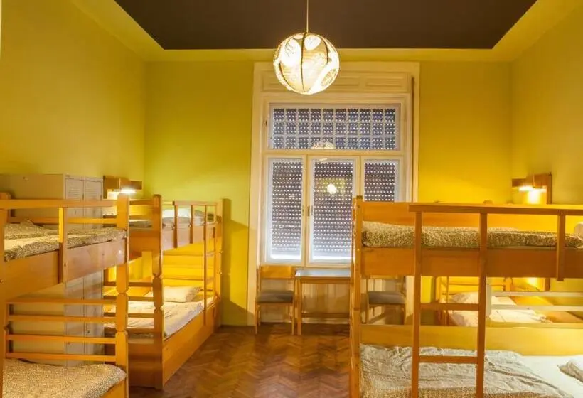 Geteiltes Mehrbettzimmer, Treestyle Hostel