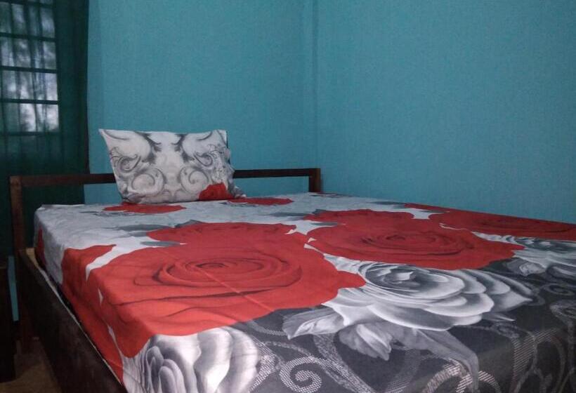 豪华房间, Breeze Hostel