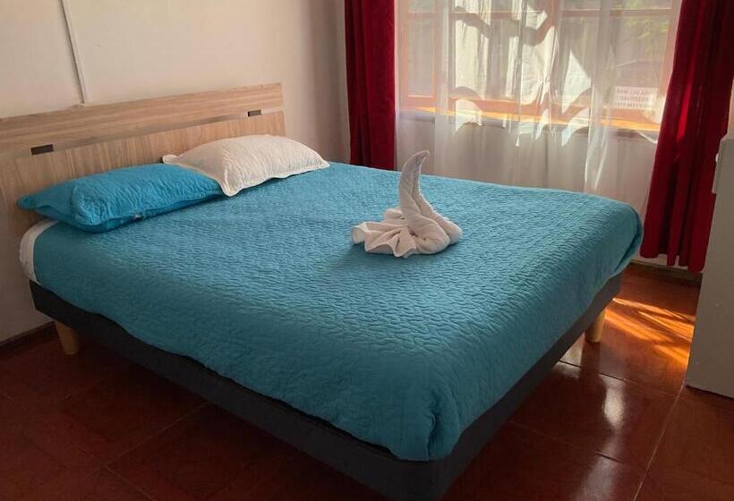 スタンダードルーム, Hostal Viña Del Mar Taltal