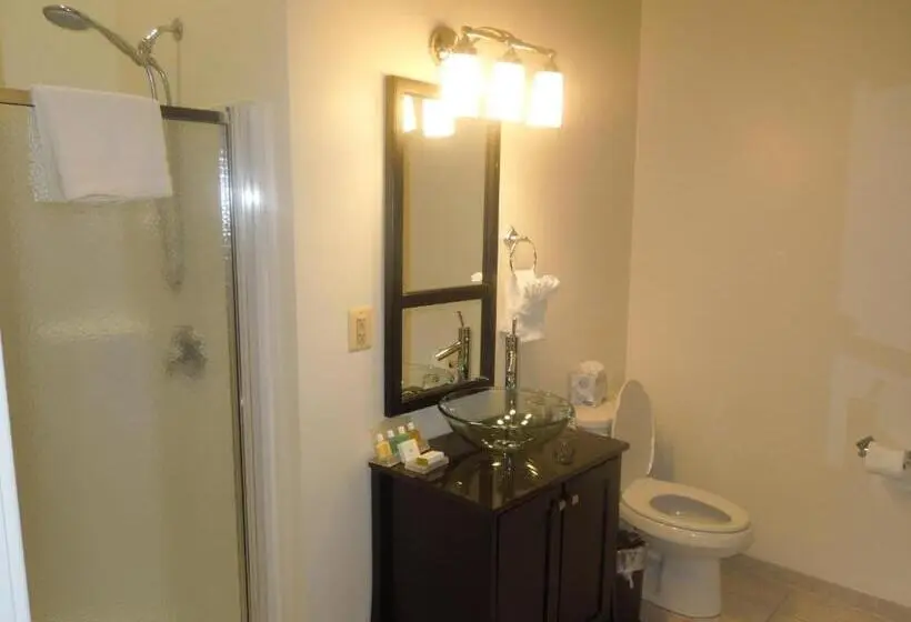 Superior-huone, Brexton, Trademark Collection By Wyndham