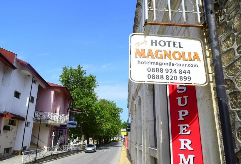 اتاق اکونومی, Family Hotel Magnolia