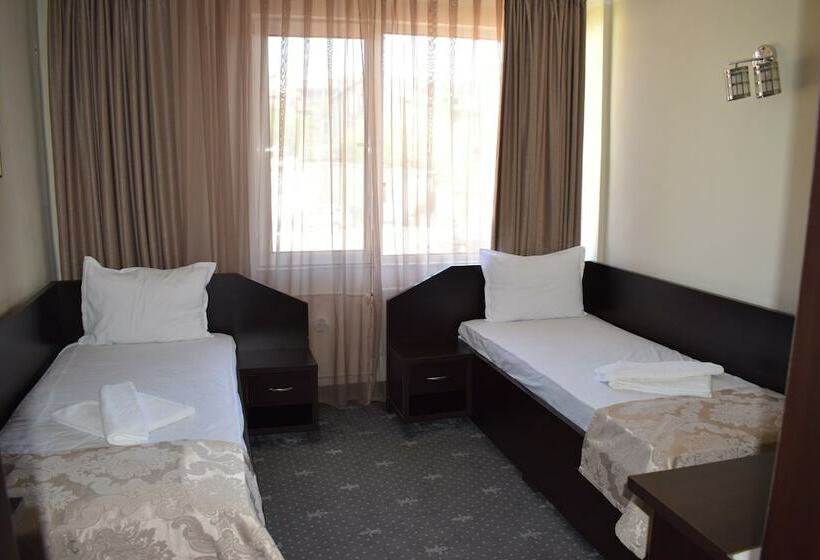 スタンダードルーム, Balneo Hotel Roza