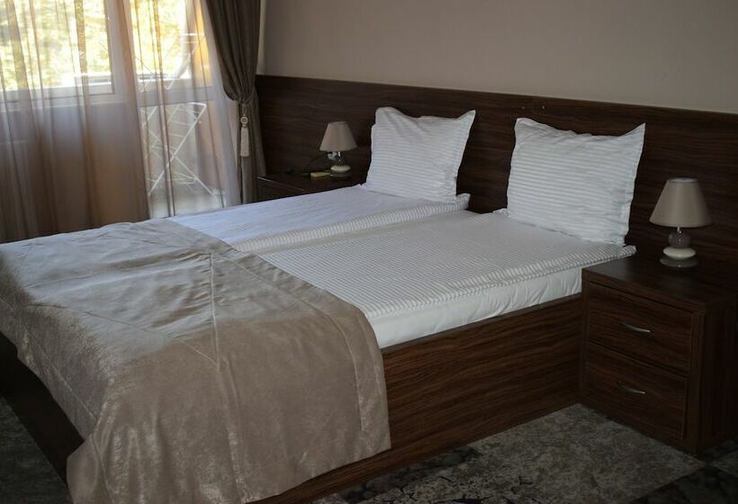 スタンダードルーム, Balneo Hotel Roza