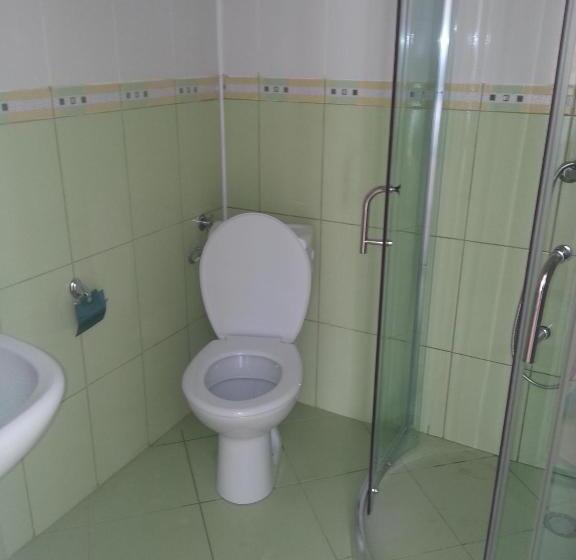 استودیو استاندارد با بالکن, Ray