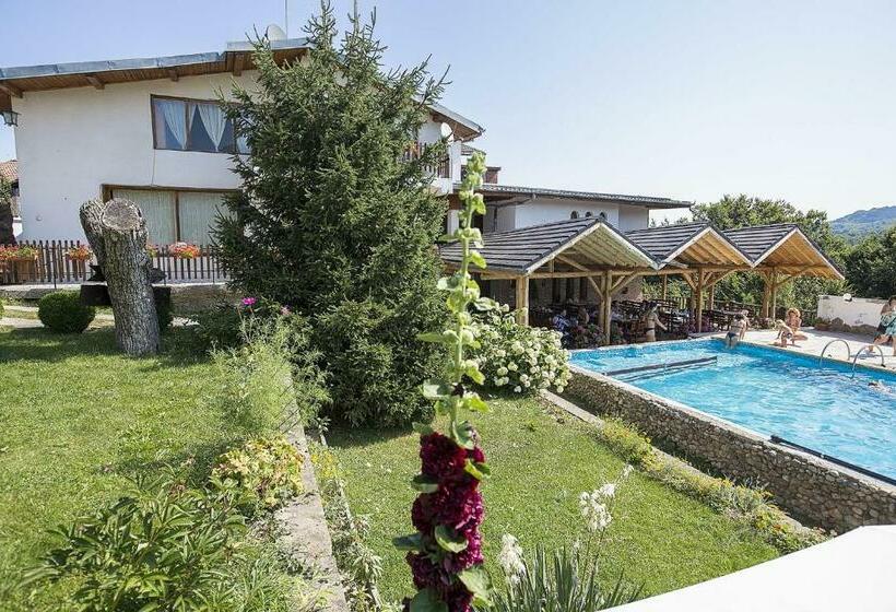 Номер Стандарт, Tihiat Kat