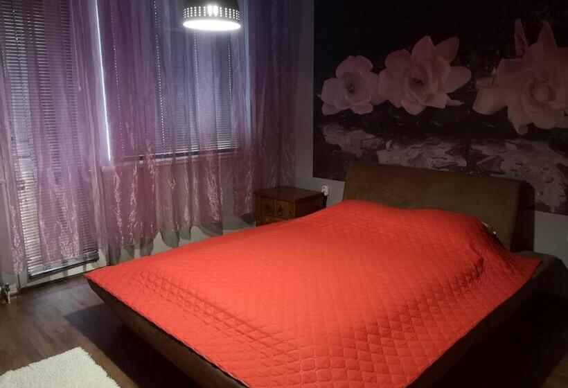 １階の１ベッドルームアパートメント, Vival