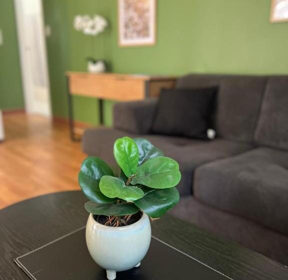 ویلای لوکس 1 خوابه, Colonial Village Resort