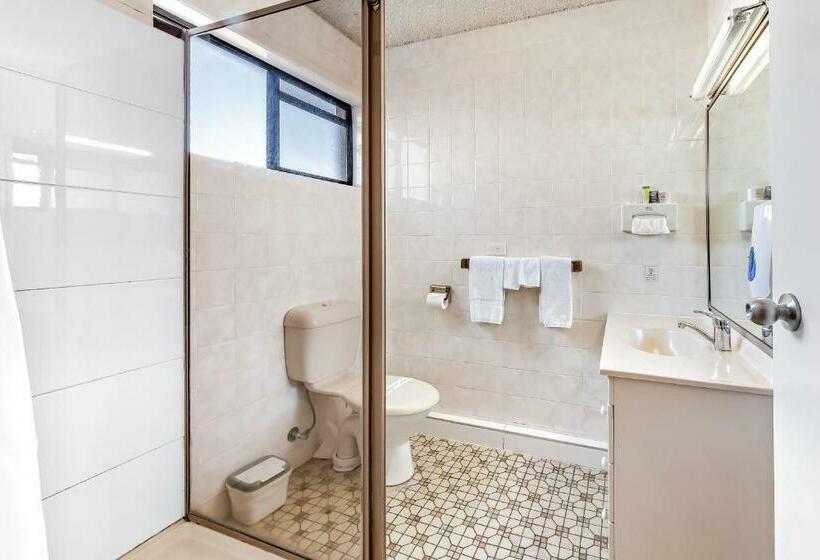 スタンダードルーム, Apple & Grape Motel