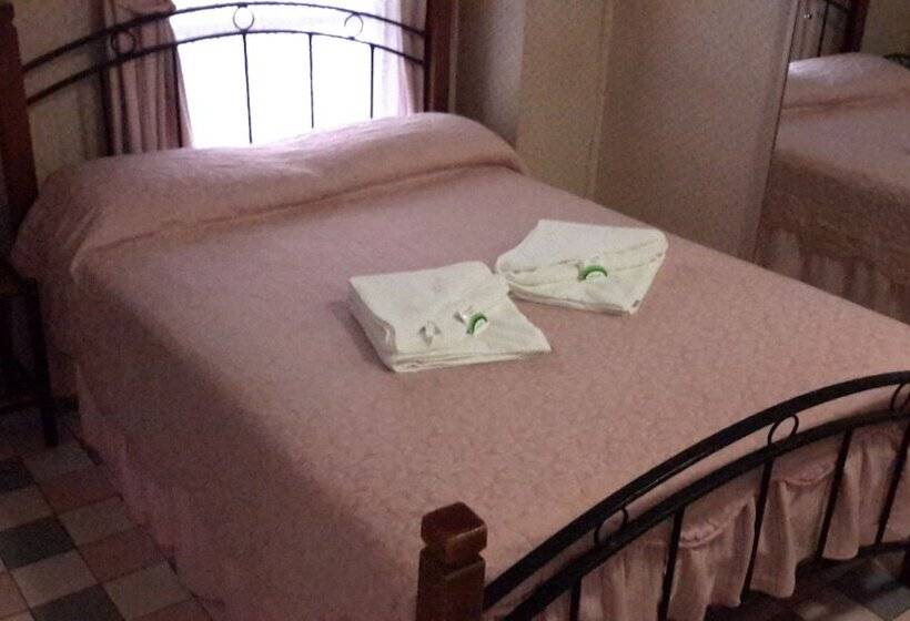 غرفة قياسية فردية حمام مشترك, Annies Shandon Inn