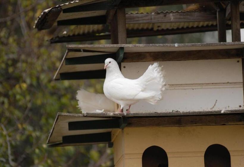 침실 2개 주택, The Dove Cote