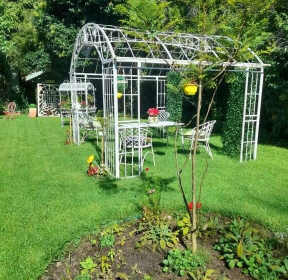 إستوديو قياسى, Dalfruin B&b