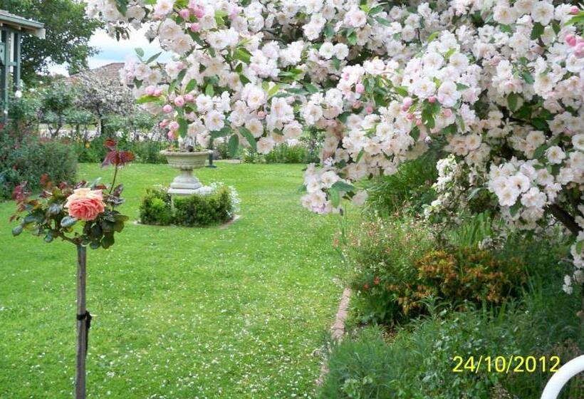 شقة غرفة واحدة, Dalfruin B&b