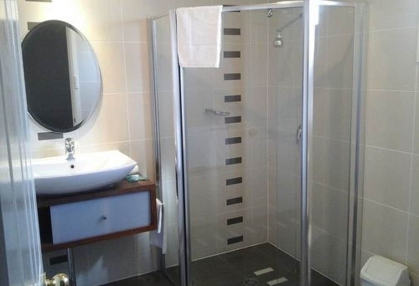 חדר דלוקס, Willows Motel