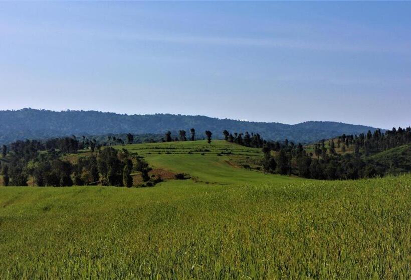 Номер Стандарт, Stc.safari Lodge