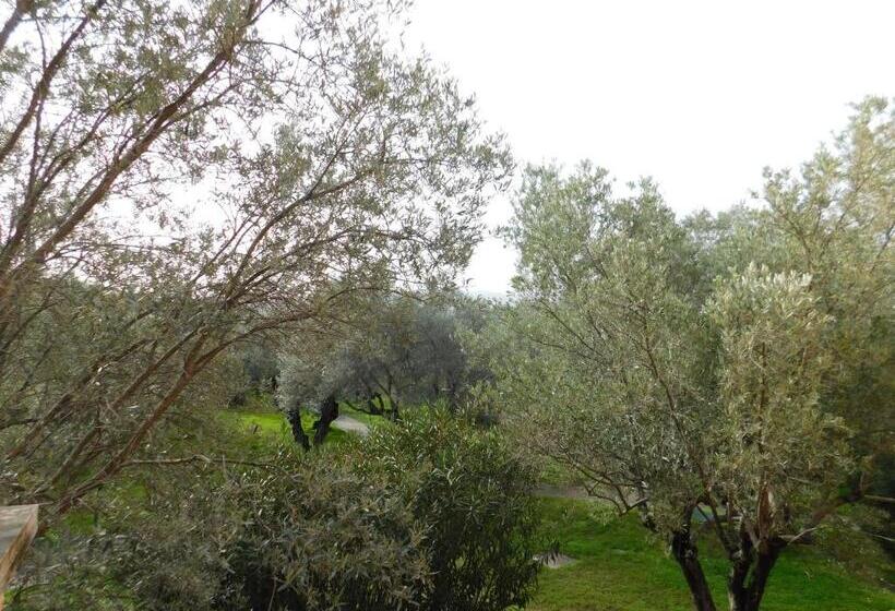 标准间, Appartamenti Sant Andrea