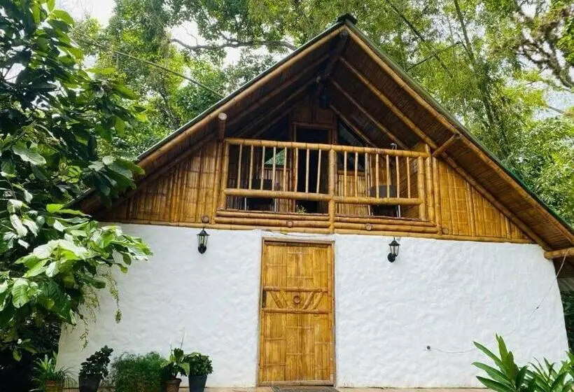 家族用バンガロー, Cabañas Monteleón Paicol Huila