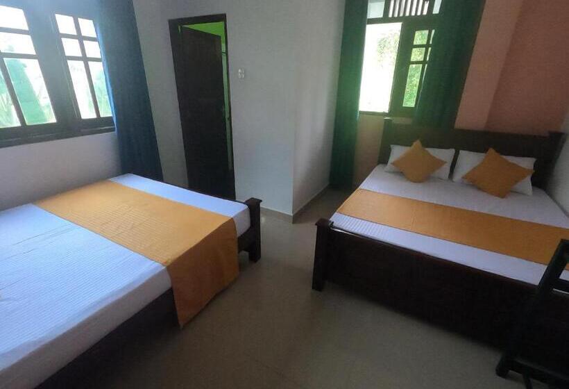 ファミリールーム, Rafting Reach Layathraa