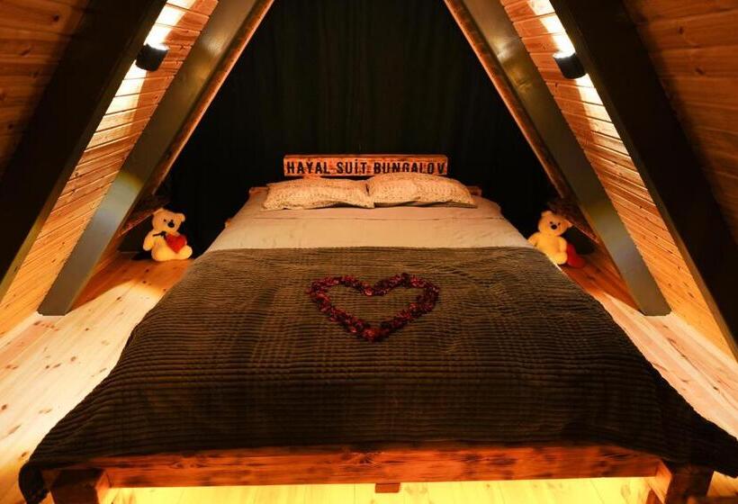 غرفة قياسية, Hayalsuitbungalovv