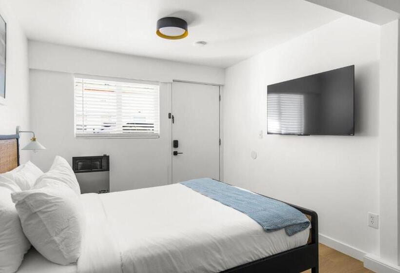 标准工作室, Aliza