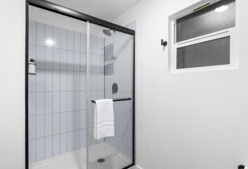 标准工作室, Aliza