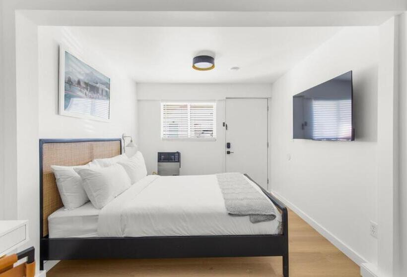 标准工作室, Aliza