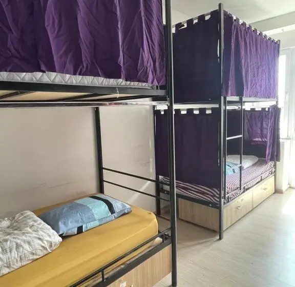 تختخواب در اتاق مشترک, Newborn Comfort Hostel The Biggest Hostel Of Town With Best Location