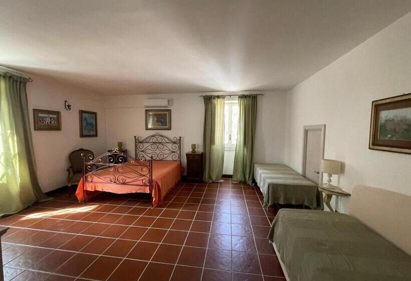 اتاق لوکس, Tenuta Palmarini