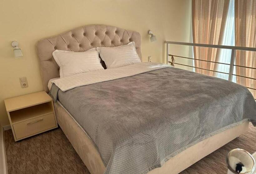 اتاق استاندارد, Pensiunea Ancuței