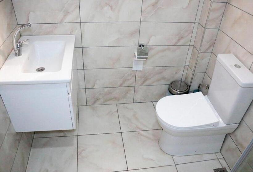 اتاق استاندارد یک نفره, Vizyon Otel Darıca