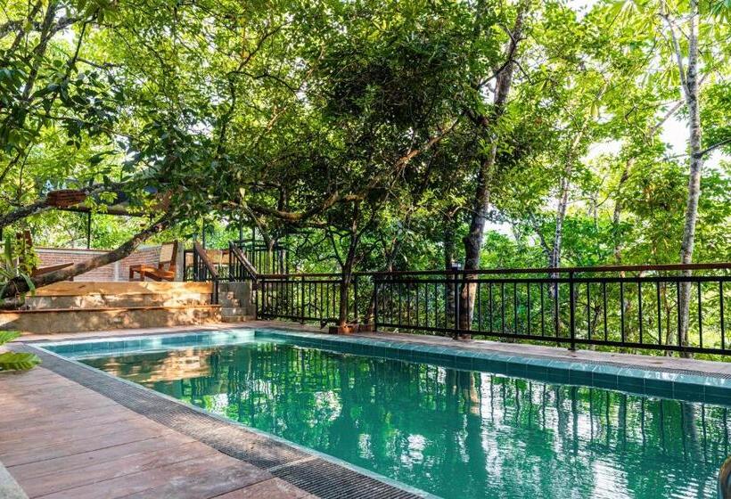 غرفة قياسية, Trance Rabara Resort