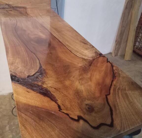 خانه 1 خوابه, Pongwe Eco Lodge And Kitten Paradise