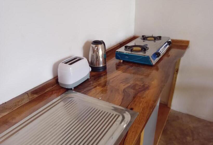 خانه 1 خوابه, Pongwe Eco Lodge And Kitten Paradise