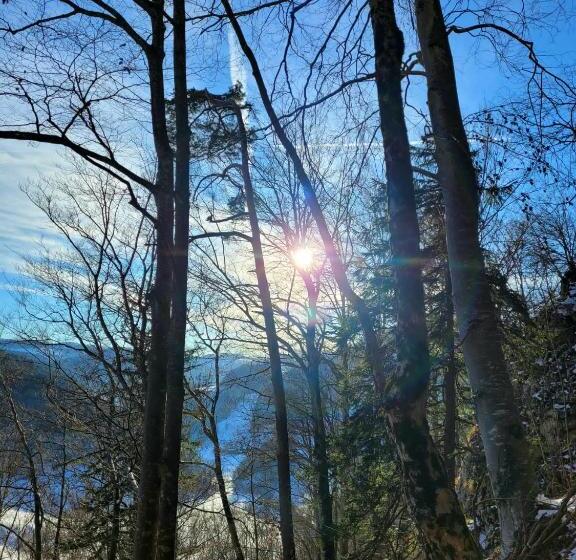Номер Стандарт Вид на Сад, Chez Svanette B&b Villa Sonnglück