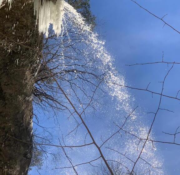 חדר סטנדרט נוף לגינה, Chez Svanette B&b Villa Sonnglück