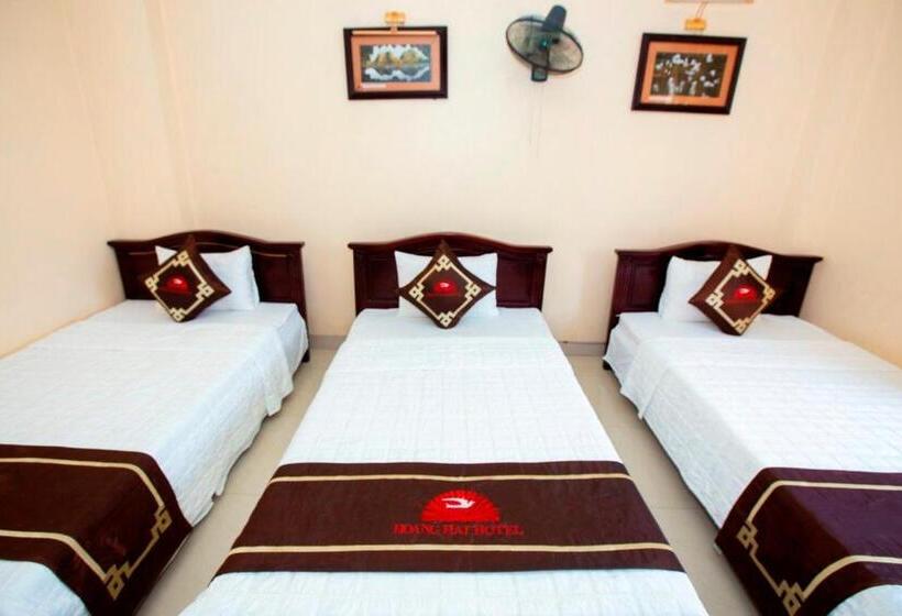 اتاق استاندارد سه نفره, Hoàng Hải 2