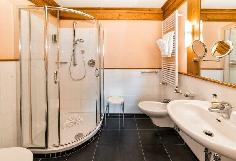 Номер Стандарт Индивидуальный с Балконом, Alpin & Vital Hotel La Perla