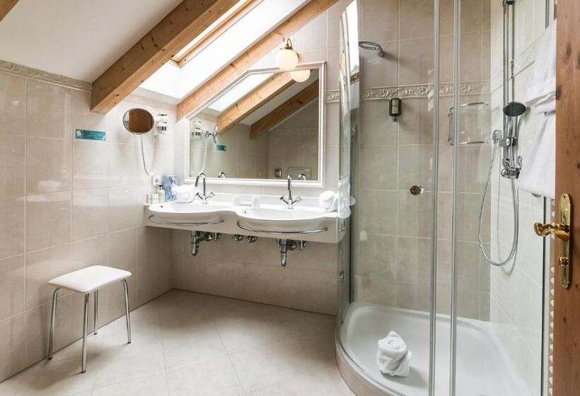 Номер Стандарт, Alpin & Vital Hotel La Perla