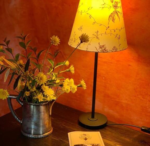 Номер Стандарт, Barco Mediceo