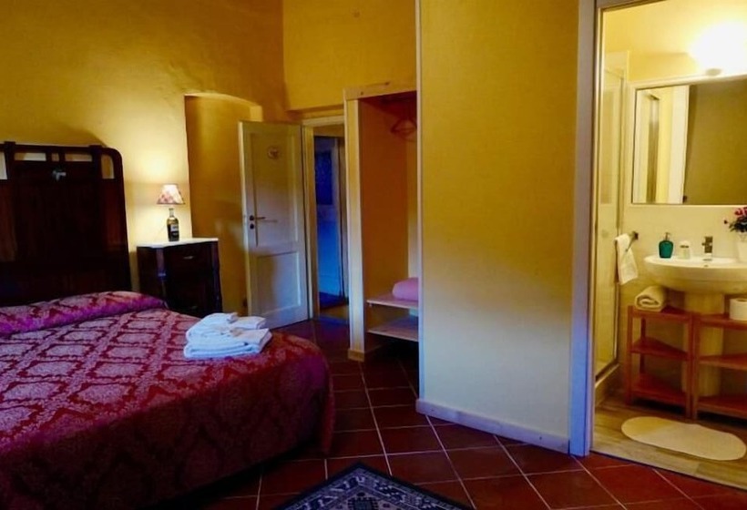 Номер Стандарт, Barco Mediceo