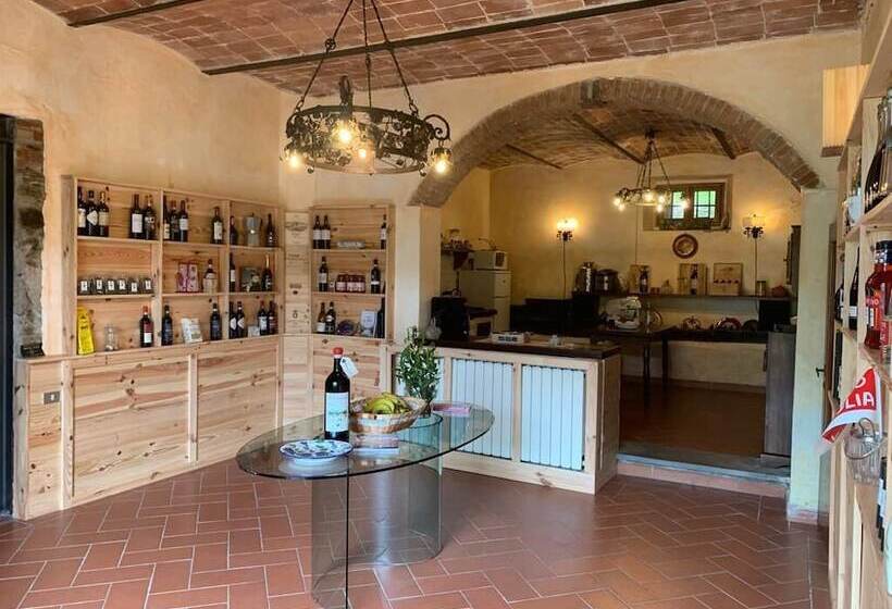 Номер Стандарт, Barco Mediceo