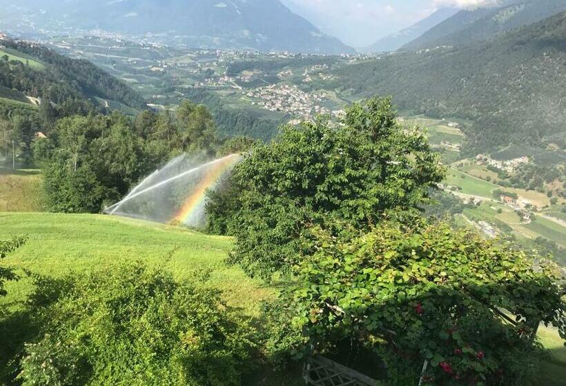 غرفة قياسية, Gasserhof Garni & Apartment