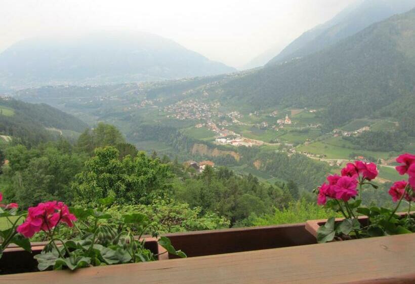 غرفة قياسية, Gasserhof Garni & Apartment