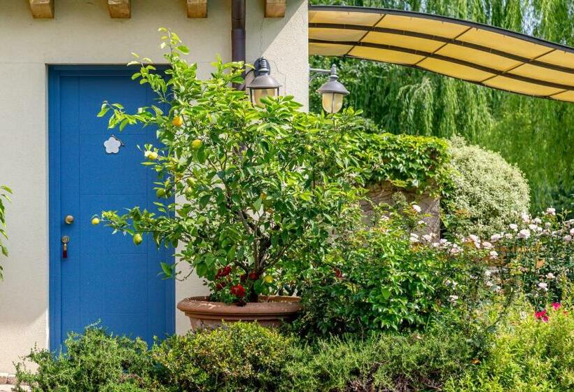 スタンダードインサイドビュールーム, Calvi Ristorante Mainor