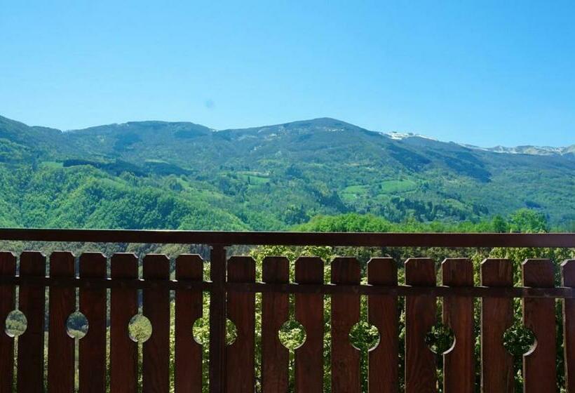 Номер Стандарт, Gabriella