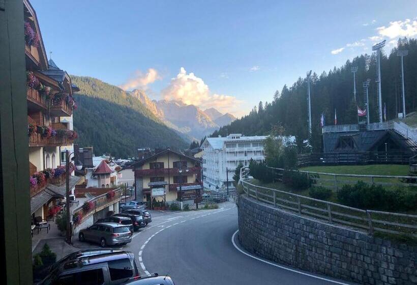 标准间带山景, Zeni